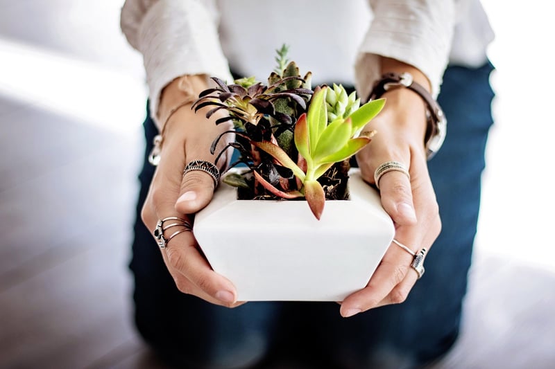 Planting Vessels